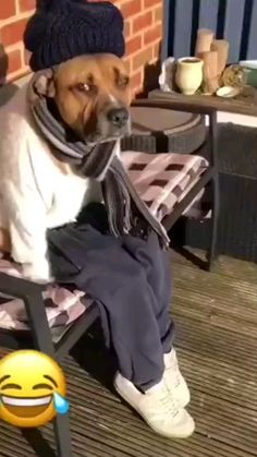 a dog sitting on top of a chair next to a table with a smiley face