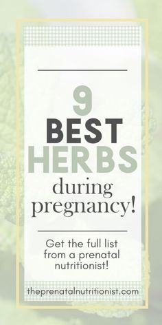 broccoli with the words 9 best herbs during pregnancy