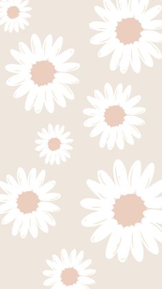 white daisies with pink centers on a beige background, in the middle of an image