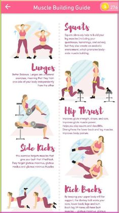 a poster with instructions on how to do squats and exercises for the back muscles