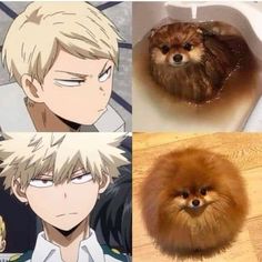 four different pictures of dogs in the bathroom and one with an animal's head