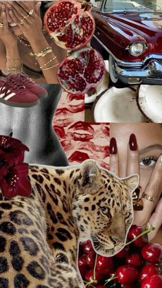 a collage of photos with different types of jewelry, including a leopard and cherries