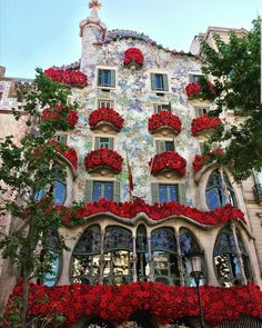 the building has many red flowers on it