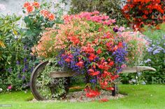 an old wooden wheel with flowers growing on it's sides in a garden area