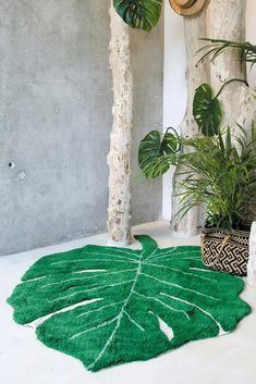 a large green leaf shaped rug on the floor next to potted plants in a room