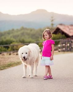 Best Dogs for Kids with Autism: Great Pyrenees Dog Great Pyrenees, Calm Dog Breeds, Grass Flowers, Clumber Spaniel, Great Pyrenees Dog, Bluetick Coonhound