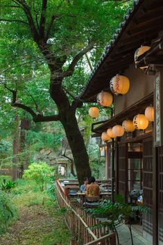 people are sitting at tables in front of a tree and some lanterns hanging from the roof