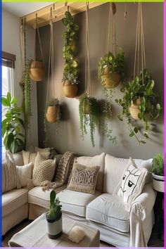 a living room filled with lots of plants hanging from the wall and pillows on the couches