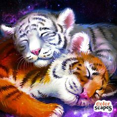 two white tiger cubs cuddle together in space