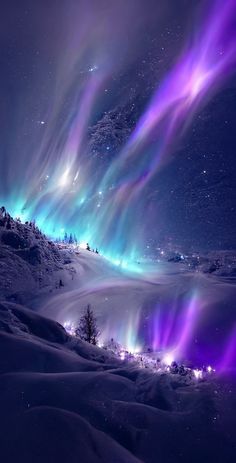 the aurora lights shine brightly in the night sky above snow covered hills and evergreens