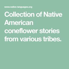 the words collection of native american roadrunner stories from various tribess on a green background