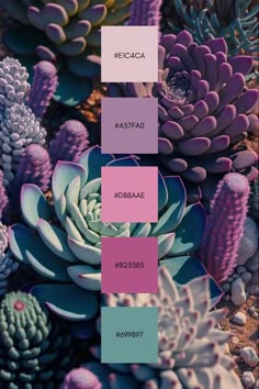 the color scheme for different plants and flowers