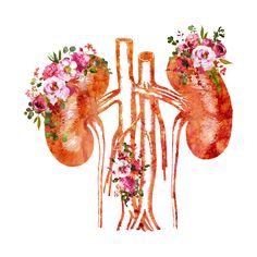 an illustration of the human body with flowers on it's side and lungs in the back