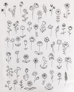 a bunch of flowers drawn on top of a white sheet