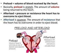 an image of the inside of a heart with blood flowing from it and labeled in red