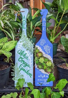 two paddles with plants in them sitting on top of a shelf next to potted plants