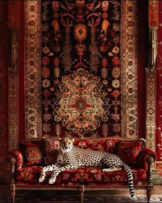 a cheetah laying on top of a red couch in front of a rug