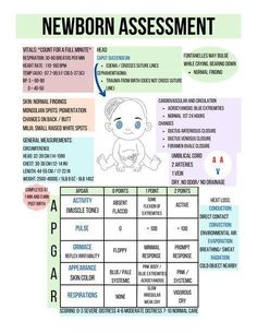 a poster with instructions on how to use the newborn's name and its meanings