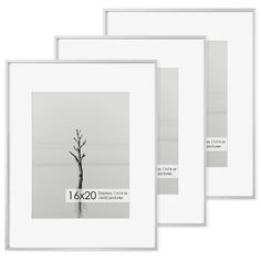 three white frames with an image of a tree in the middle and one is empty