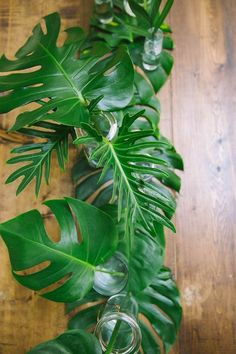 a close up of a plant on a wooden floor with water in a glass vase