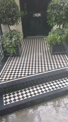 a black and white checkerboard floor with potted plants on the steps in front of it