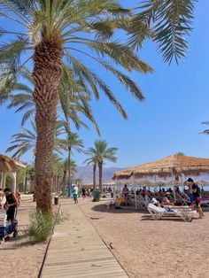 people are sitting under umbrellas on the beach near palm trees and lounge chairs in the sand