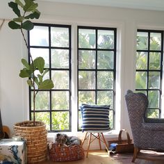 a living room filled with furniture next to two large windows and a potted plant