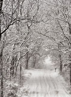 black and white photograph of snow covered trees lining a road with a person walking in the distance