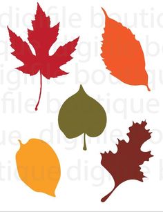 four different colored leaves are shown in the shape of an autumn or fall maple leaf