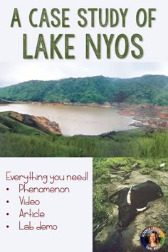 the cover of a case study of lake nyos, with an image of a cow