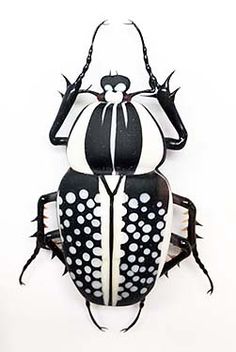 a black and white beetle with spots on it's back