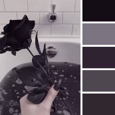 a person holding a rose in front of a bathtub with black and gray colors