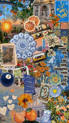 a collage of various items including oranges, flowers and other things in the background