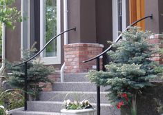 the steps lead up to a house with potted plants