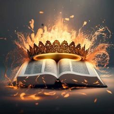 an open book with a golden crown on top and fire coming out of the pages