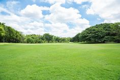 an open field with trees in the background