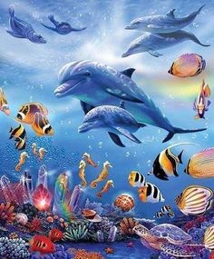 Diamond Painting | Diamond Painting - Dolphins and sea | animals Diamond Painting Animals dolphins | FiguredArt Beautiful Dolphins, Dolphin Painting, Dolphin Art, Bawah Air, Undersea World, Underwater Scene, Diamond Paint, Hur Man Målar, Sea Art