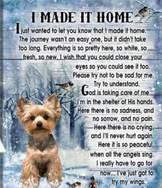 a dog poem with an image of a puppy in the snow and birds on it