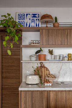 a kitchen with wooden cabinets and white counter tops, plants in pots on the shelf