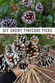 pine cones are arranged on sticks and placed in the palm