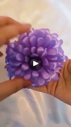 two hands are holding a purple flower