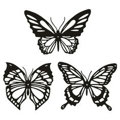 three black and white butterflies on a white background