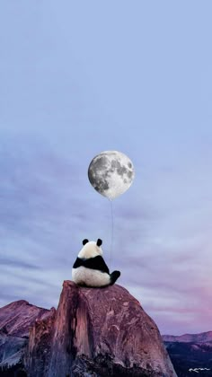 a panda bear sitting on top of a mountain under a full moon with a balloon