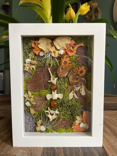 an arrangement of flowers and leaves in a white frame on a wooden table next to a potted plant