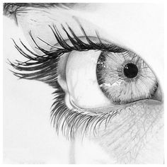 a pencil drawing of an eye with long lashes