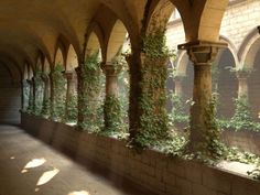 an arched walkway with ivy growing on the walls and columns, along with stone flooring