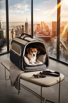 a dog is sitting in its carrier on a bench next to a cityscape