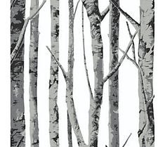 a black and white photo of trees with no leaves on the branches, in front of a white background