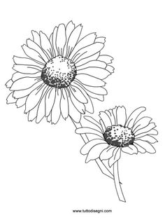 two daisies are shown in black and white, with one flower on the left side