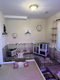 there are many cages in the living room